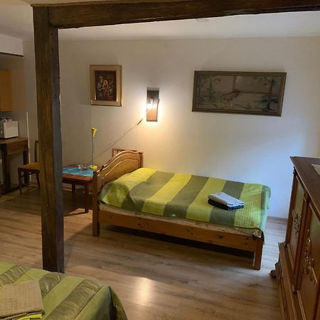 Delta 4 Nice Apartment 2 Big Bed 塔尔图 外观 照片