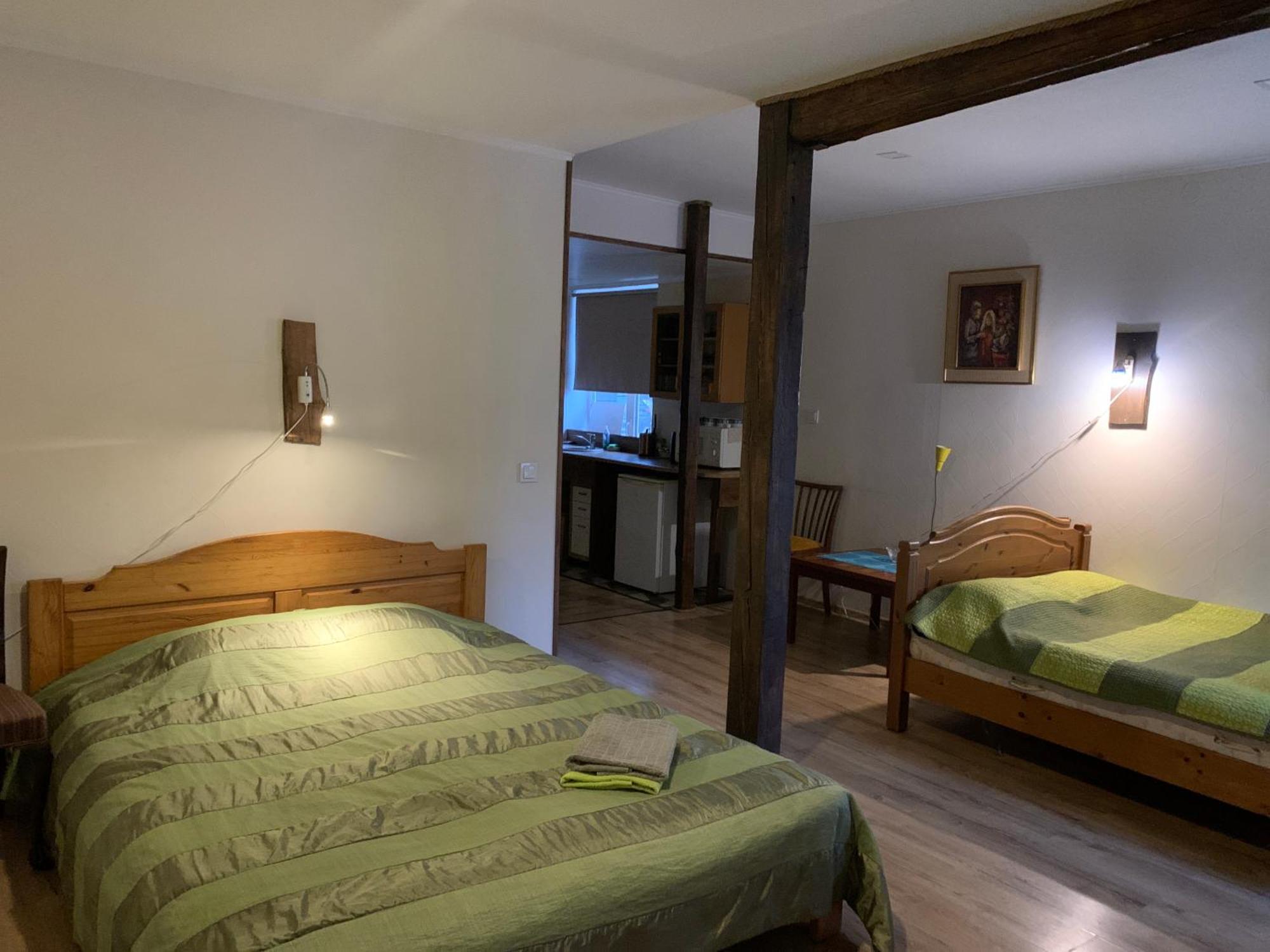 Delta 4 Nice Apartment 2 Big Bed 塔尔图 外观 照片